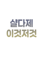 샬다제 이것저것