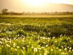 [ Heidi B. Winchester ]