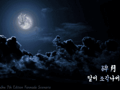 달이 조각나버린 날