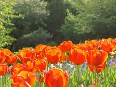 연약함을 내어주세요.