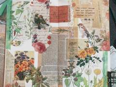 빈티지다꾸, 시작