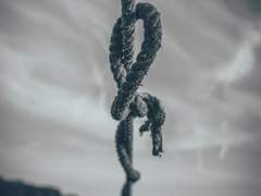 [신시호] 썩은 동아줄