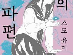 마법의 시간이 끝난 뒤, 그녀들의 이야기