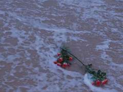 [강하게 얽히고]