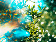 [란무테] 해피 엔드 에버