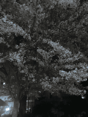 가장 크면서도 작은 공간