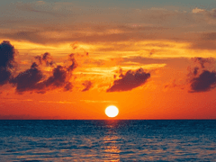 현도아 濤芽 / 18 / XX