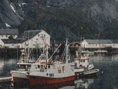 스베틀라나 프란츠 / 탐사 / XX