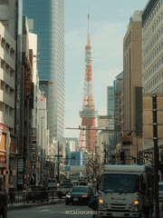 핸드폰 배경화면 