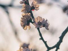 [백천청명] 白天漫遊奇境 : 夢中奇遇 - 2