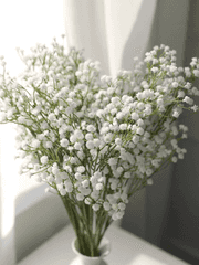 [우부] 말랑말랑