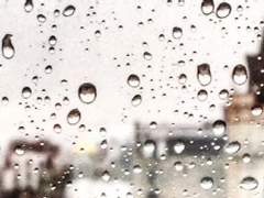 [스팁차드]구원은 아무나 하는 줄 아나