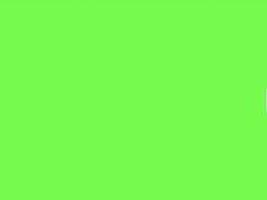 시리즈 정리 및 유료전환 공지