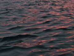 [큰세문대/큰세건우] - 나와 너 Pro