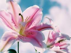 나날커 공개프로필