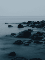 어느 혁명군의 익사 사건