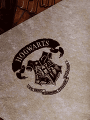 (해리포터 1도 관심없던) K-고딩의 호그와트 생활기