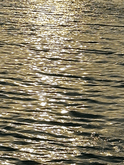 여기가 워터파크.. 아니 러브파크인가요 ?