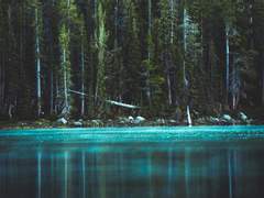 오로지 남의 서사를 듣기 위한 양식: 사카세