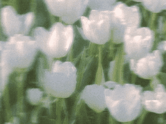 보기 좋은 센티넬과 가이드[6]