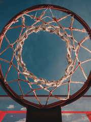 슬램덩크 세계속으로