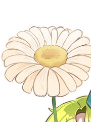 네가 죽어 플판