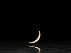 [신키드] 나의 노래는 05