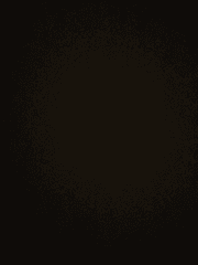 그날 밤, 그 사랑.