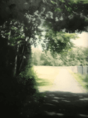 오늘은 날씨가 너무 좋아서