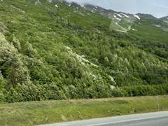 나는 할머니를 사랑하지 않는다