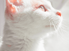 0429 옛날 이야기