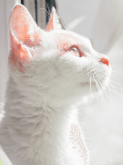 나의 낙태 일기