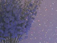 드디어 포스타입을 개설하다.