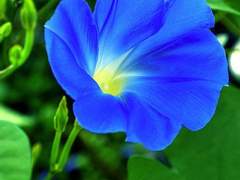 위험한 연애를 시작해 버렸어요...! 08