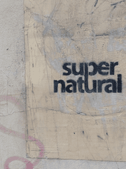 [존딘] Brutal Romantic 