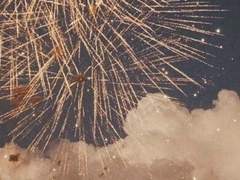 해를 바라보며 피는 여름꽃