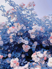 자급자족 활자돌_외전