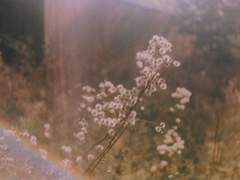 [고죠우타] 02. 남의 말을 하면 입술이 시리구나, 가을 찬바람.