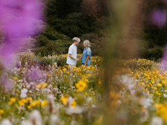 이야기의 시작을 알리며
