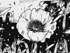 3. 박하향을 삼킨 하얀 그림자