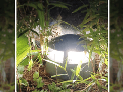 1. 후회 없는 삶