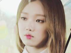 나의 선생님에게.