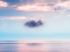 어린 망령의 미련.