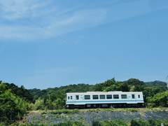 [우성명헌] 나의 여름 액자 - 여름