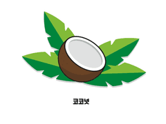 코코넛 3