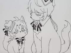 원신 소녀셋 고양이들