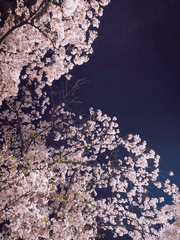 [2차] 드림/썰/연성