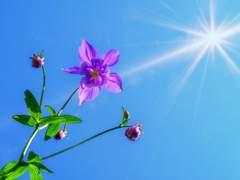 상명커 2기 프로필