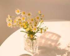 공룡이, 코마에게.