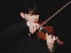 바이올린 4/4 구매